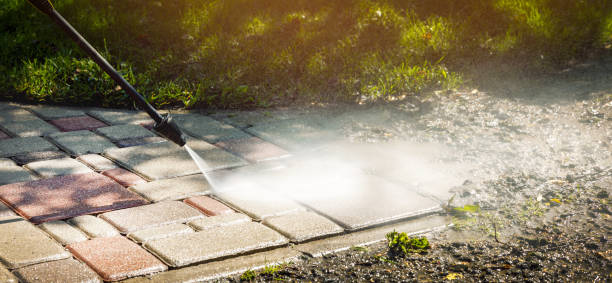 Best Animal Enclosure Cleaning  in Lithonia, GA